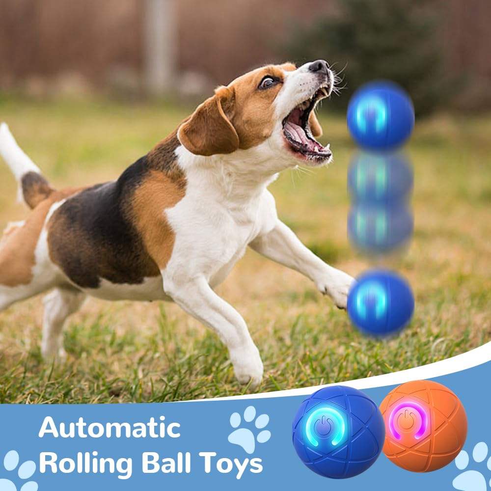 Interactive Dog Ball Toy – Smart Training Ball to Improve Dog IQ & Reduce Boredom
