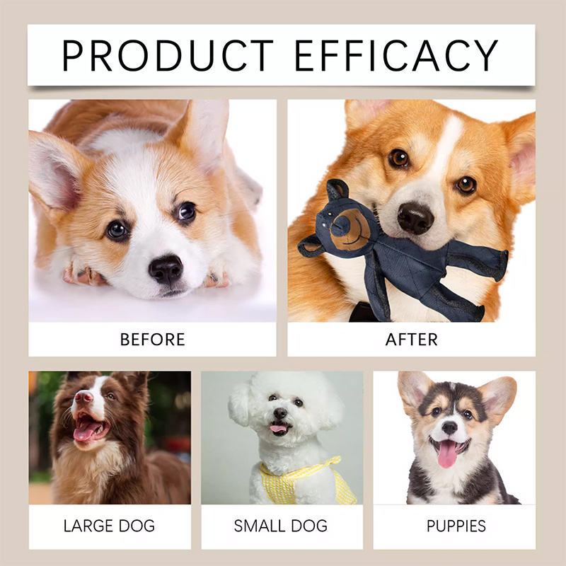 Unbreakable Dog Toy Bear – Durable Plush Toy for Strong Chewing Dogs