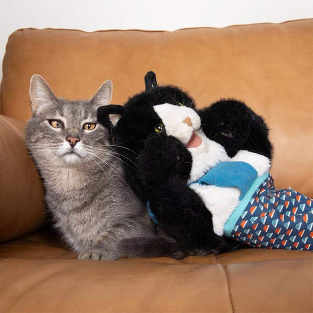 Interactive Cat Hand Puppet Toy – Fun Training Toy to Keep Cats Active & Happy