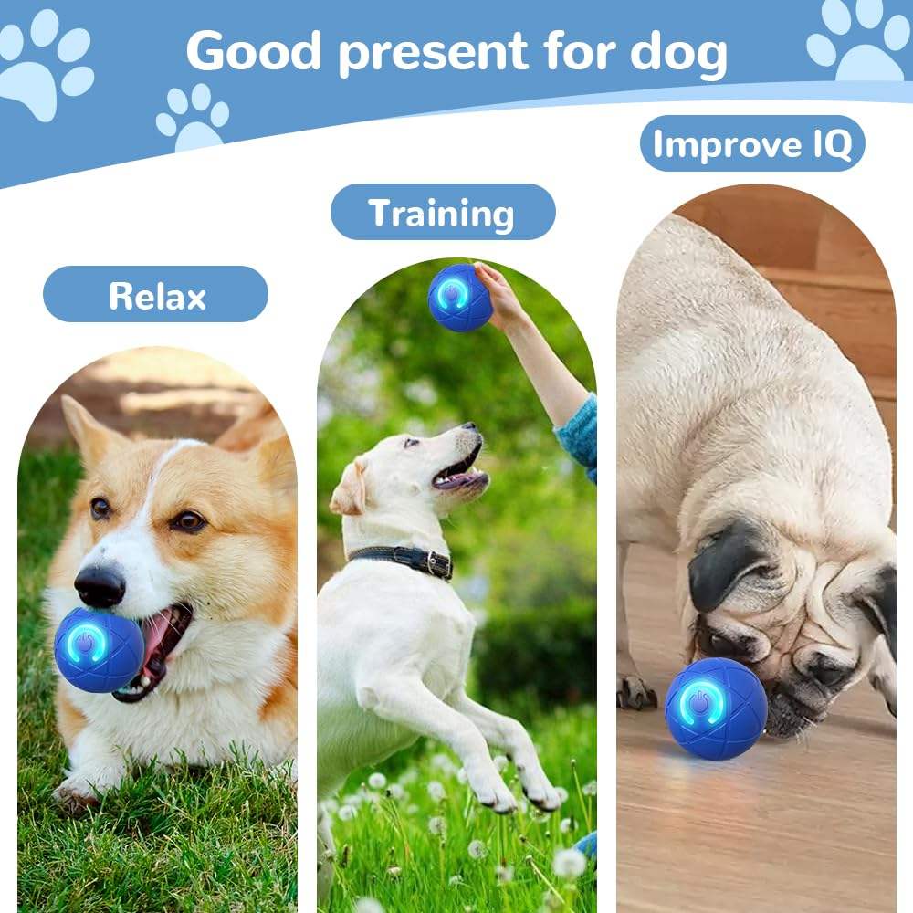 Interactive Dog Ball Toy – Smart Training Ball to Improve Dog IQ & Reduce Boredom