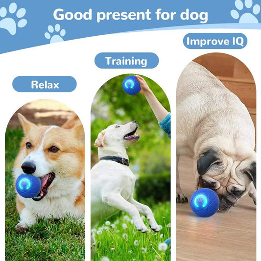 Interactive Dog Ball Toy – Smart Training Ball to Improve Dog IQ & Reduce Boredom